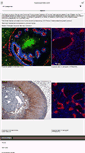 Mobile Screenshot of hypoxyprobe.com